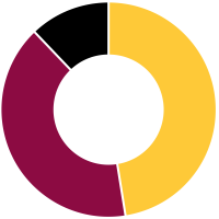 Maroon and gold pie chart showing 47%, 41% and 12%.