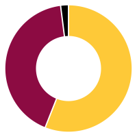 Maroon and gold pie chart showing 56%, 42% and 2%.