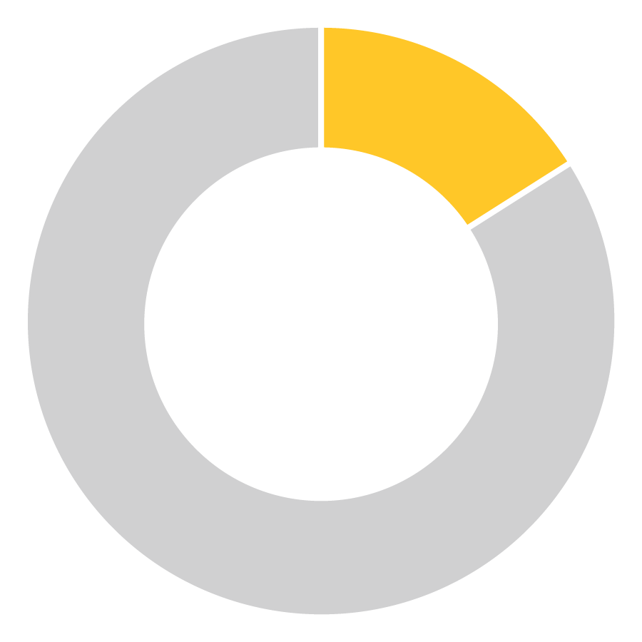 Pie chart showing 16%.