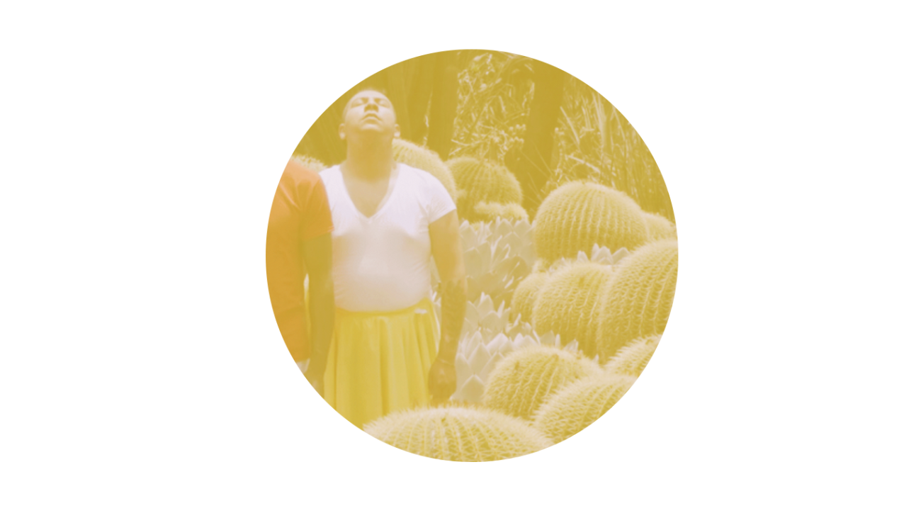 A person standing among desert barrel cacti.