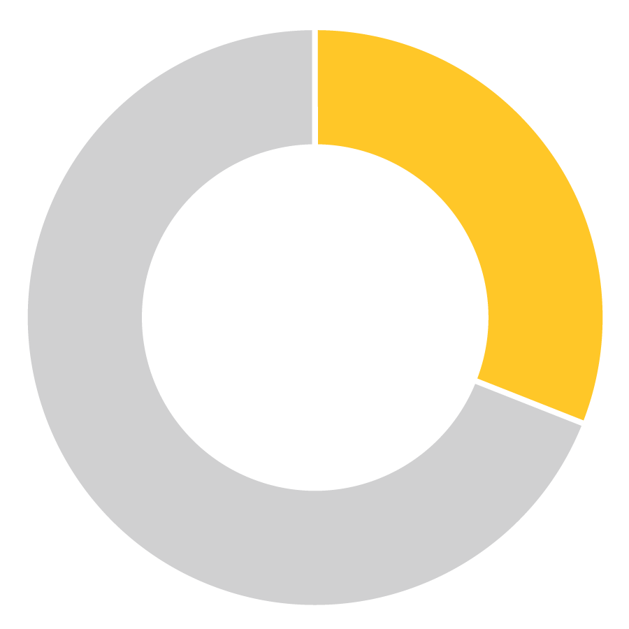 Pie chart showing 31%. 