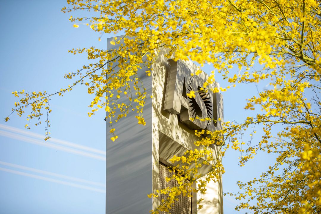 The hub for intellectual inquiry and discovery